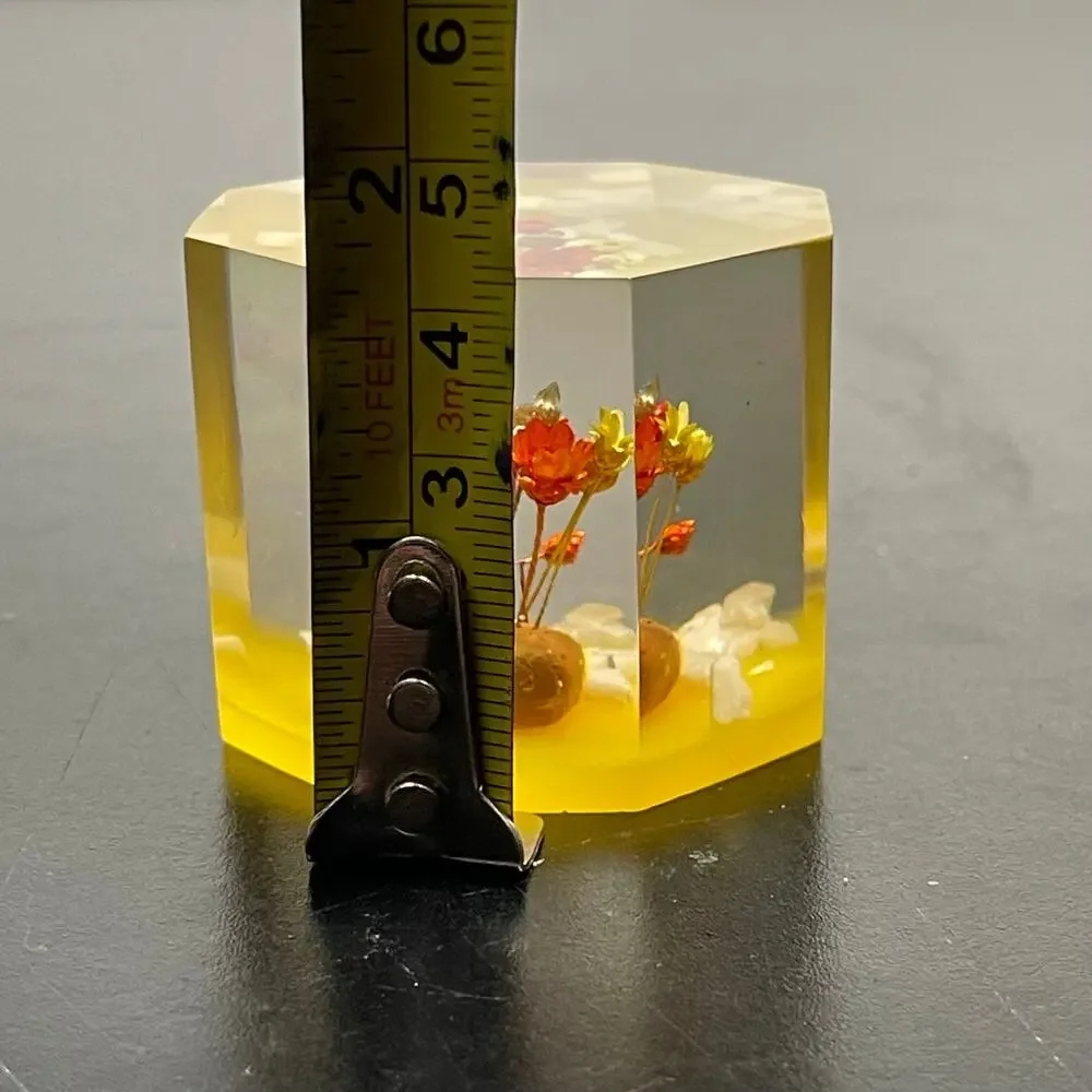 Vtg Lucite Acrylic Paperweight with Dried Straw Flowers 1.5